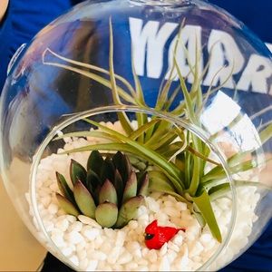 Meet your Posher, Mariah